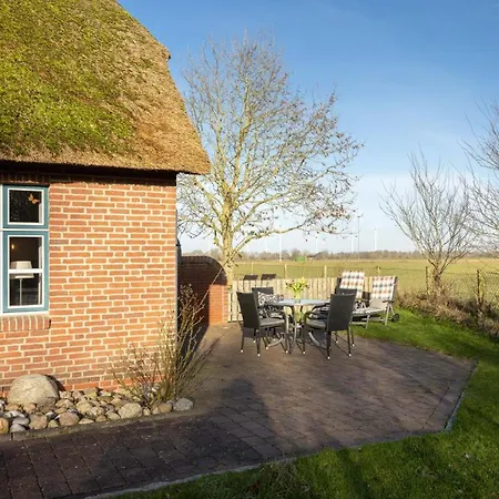 Deichmuschel Woehrden