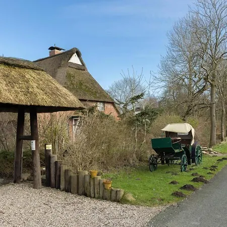 Deichmuschel Woehrden