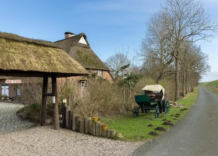 Deichmuschel Woehrden